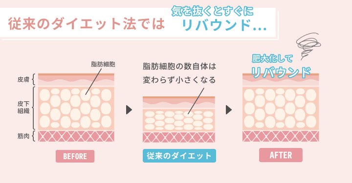 従来のダイエット法では気を抜くとすぐにリバウンド…